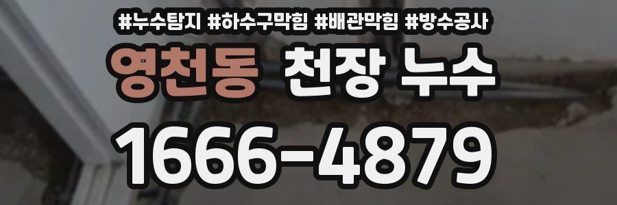 영천동 천장 누수