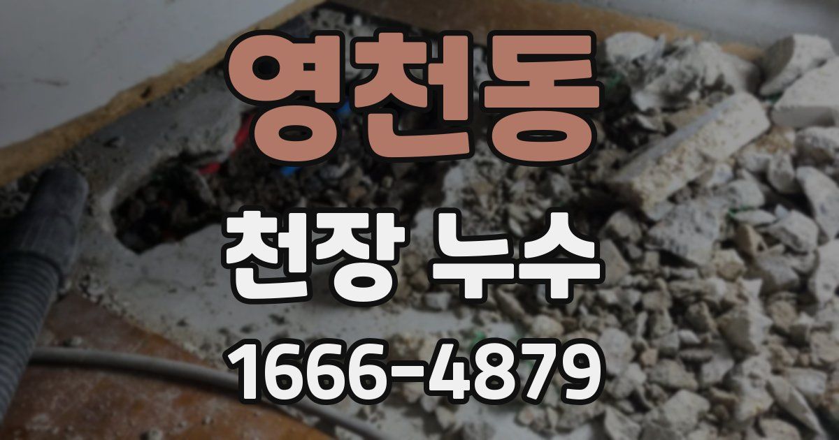 영천동 천장 누수