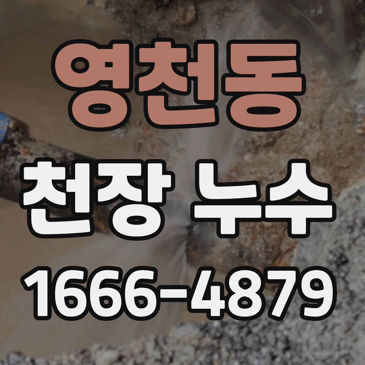 영천동 천장 누수