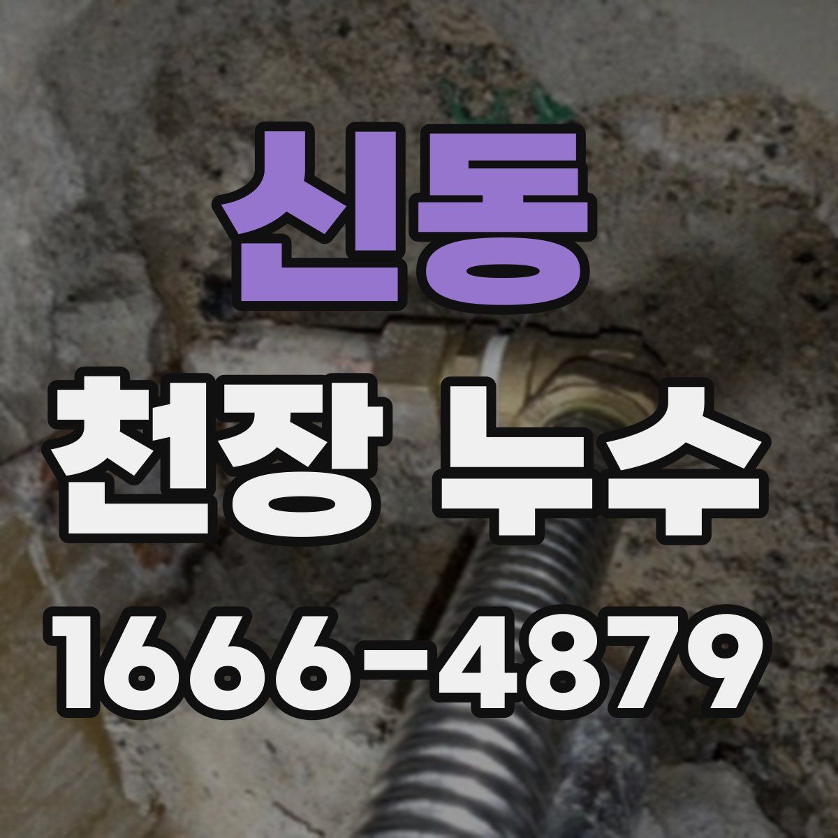 신동 천장 누수