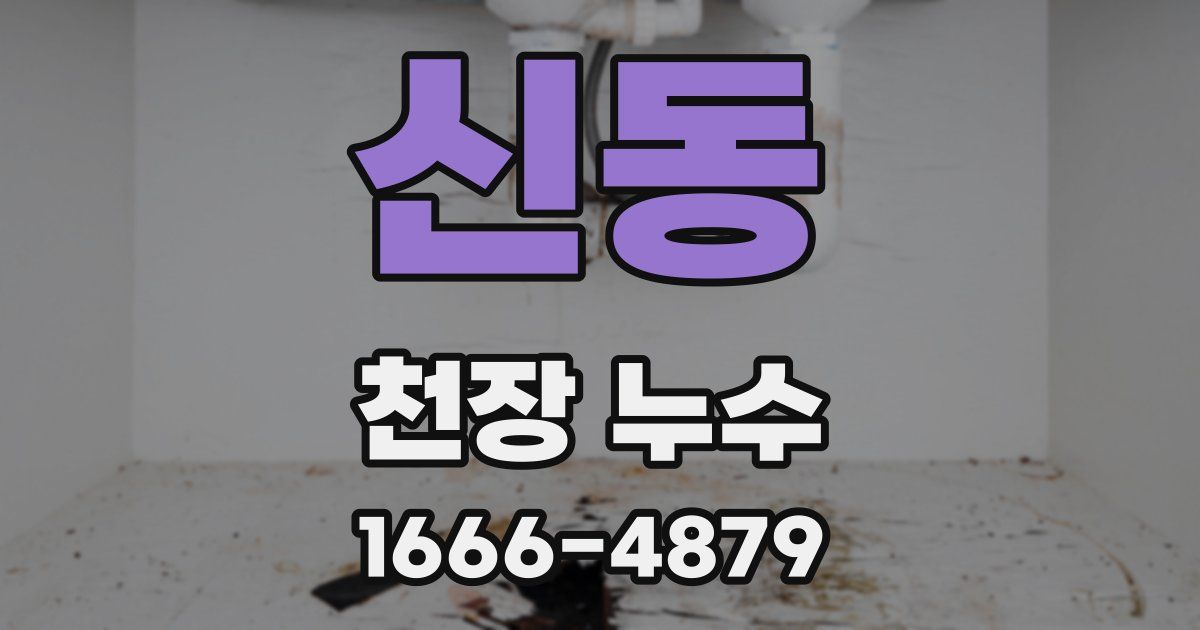 신동 천장 누수