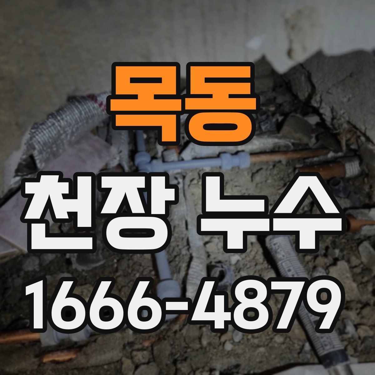 목동 천장 누수