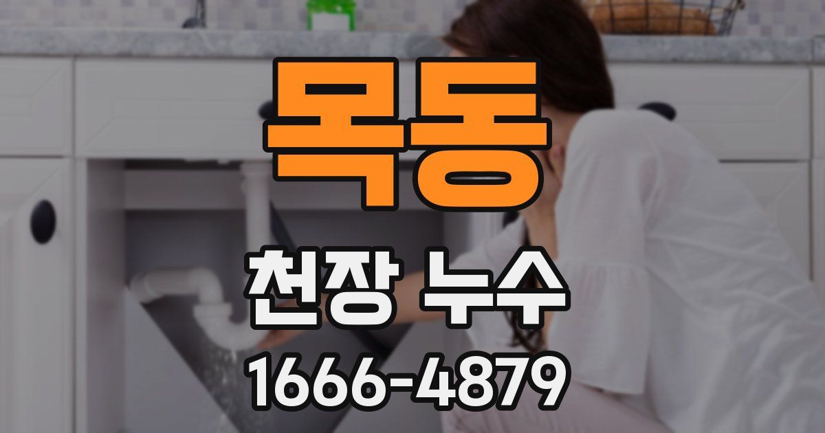 목동 천장 누수