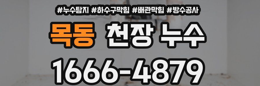 목동 천장 누수