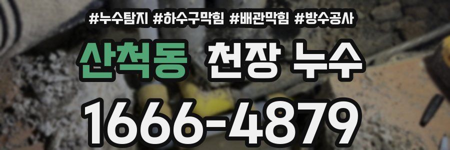 산척동 천장 누수
