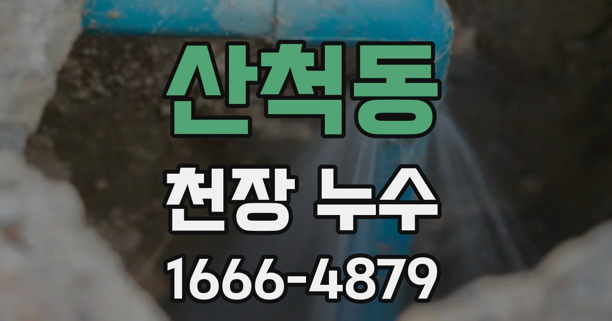 산척동 천장 누수