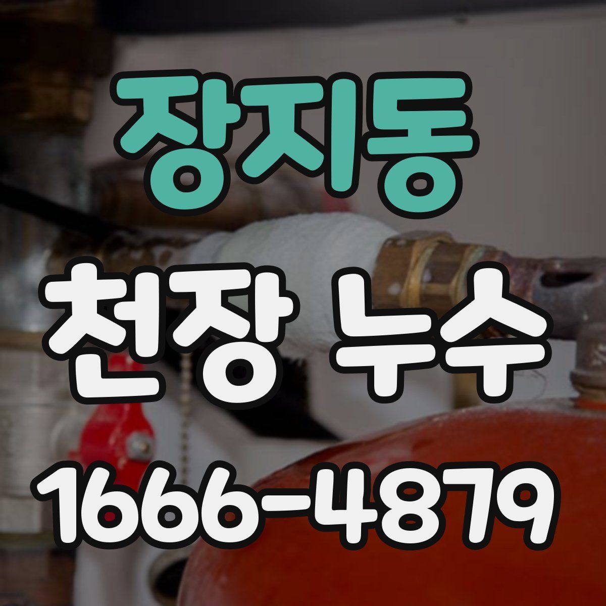 장지동 천장 누수