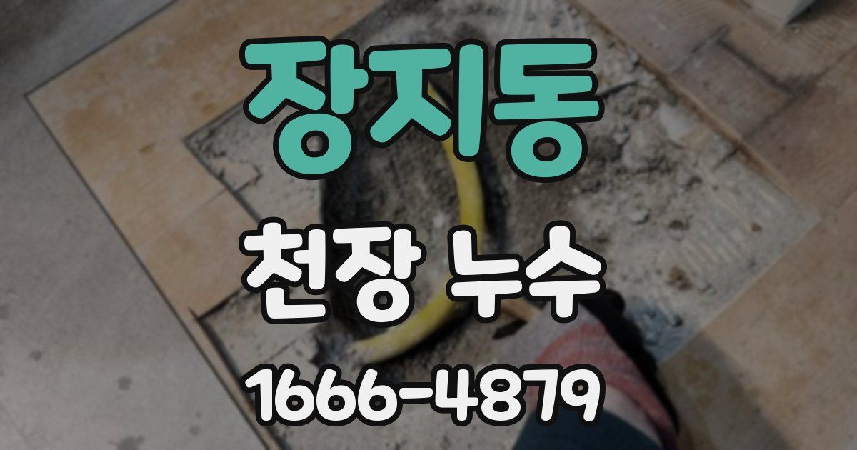 장지동 천장 누수
