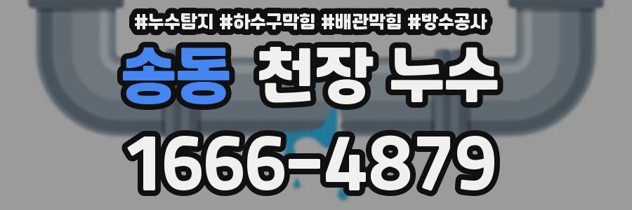 송동 천장 누수