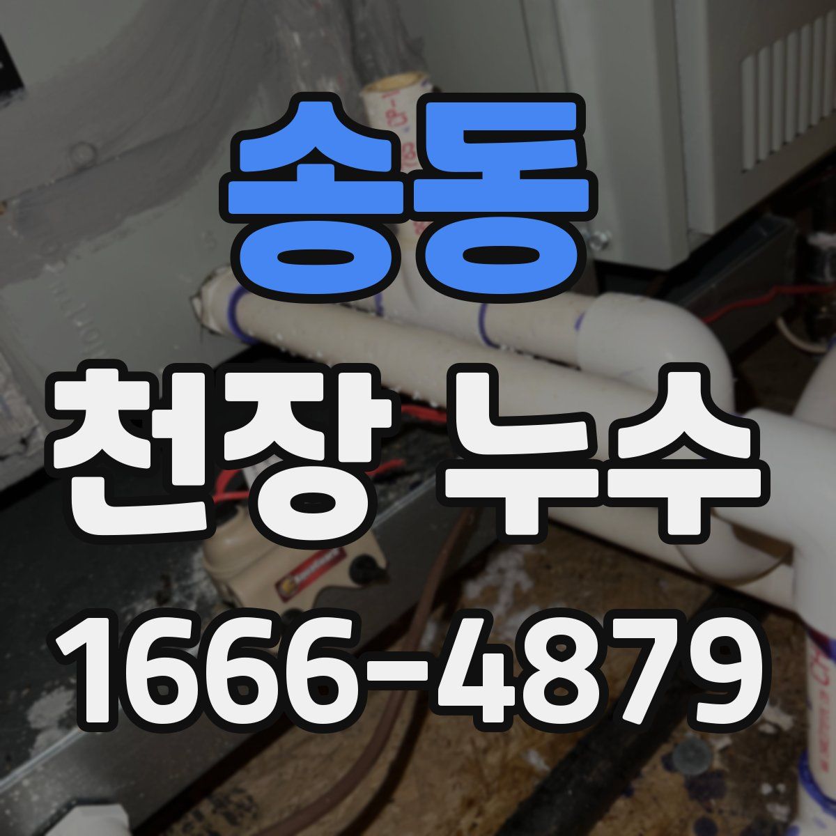 송동 천장 누수