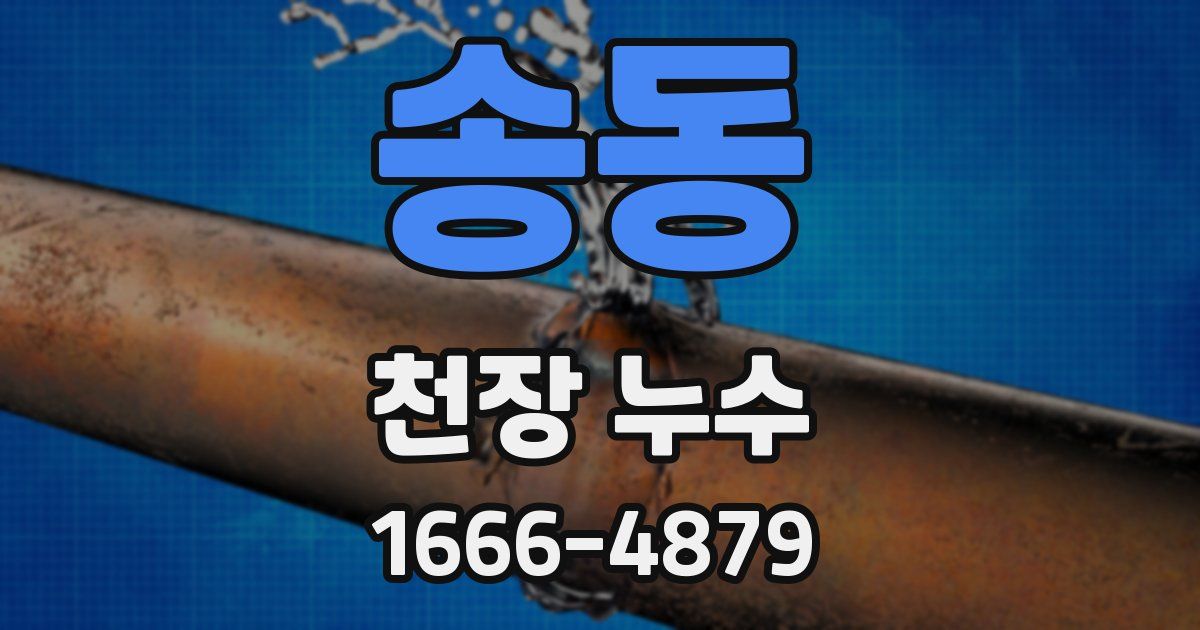 송동 천장 누수