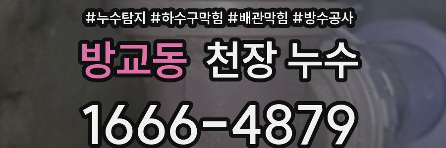 방교동 천장 누수