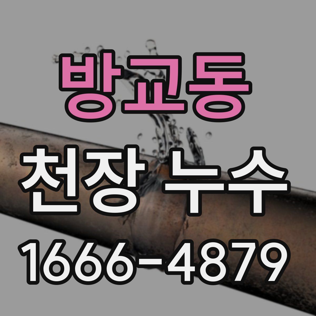방교동 천장 누수