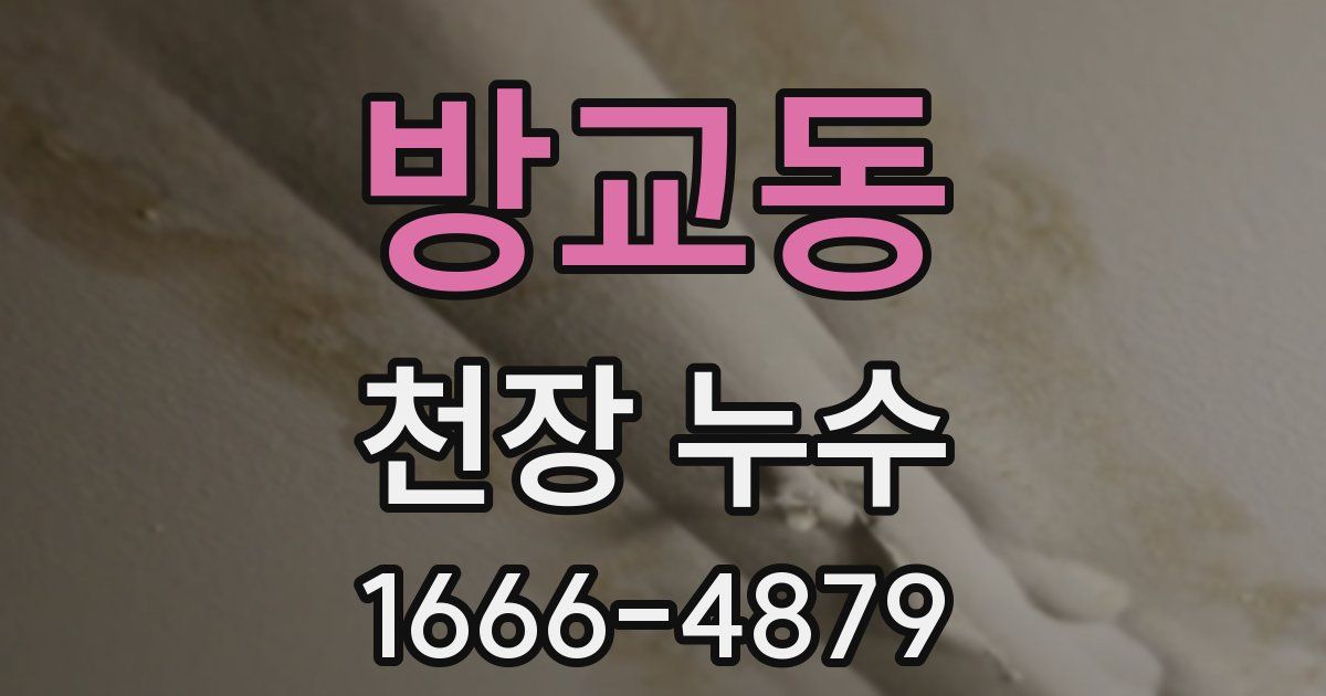 방교동 천장 누수