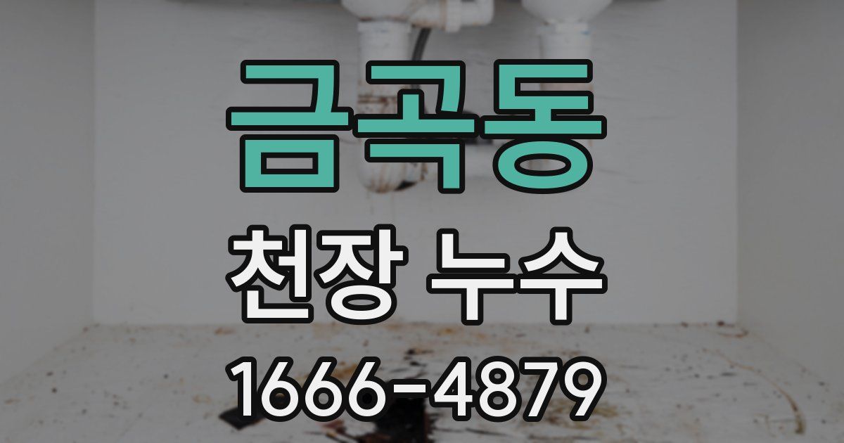 금곡동 천장 누수