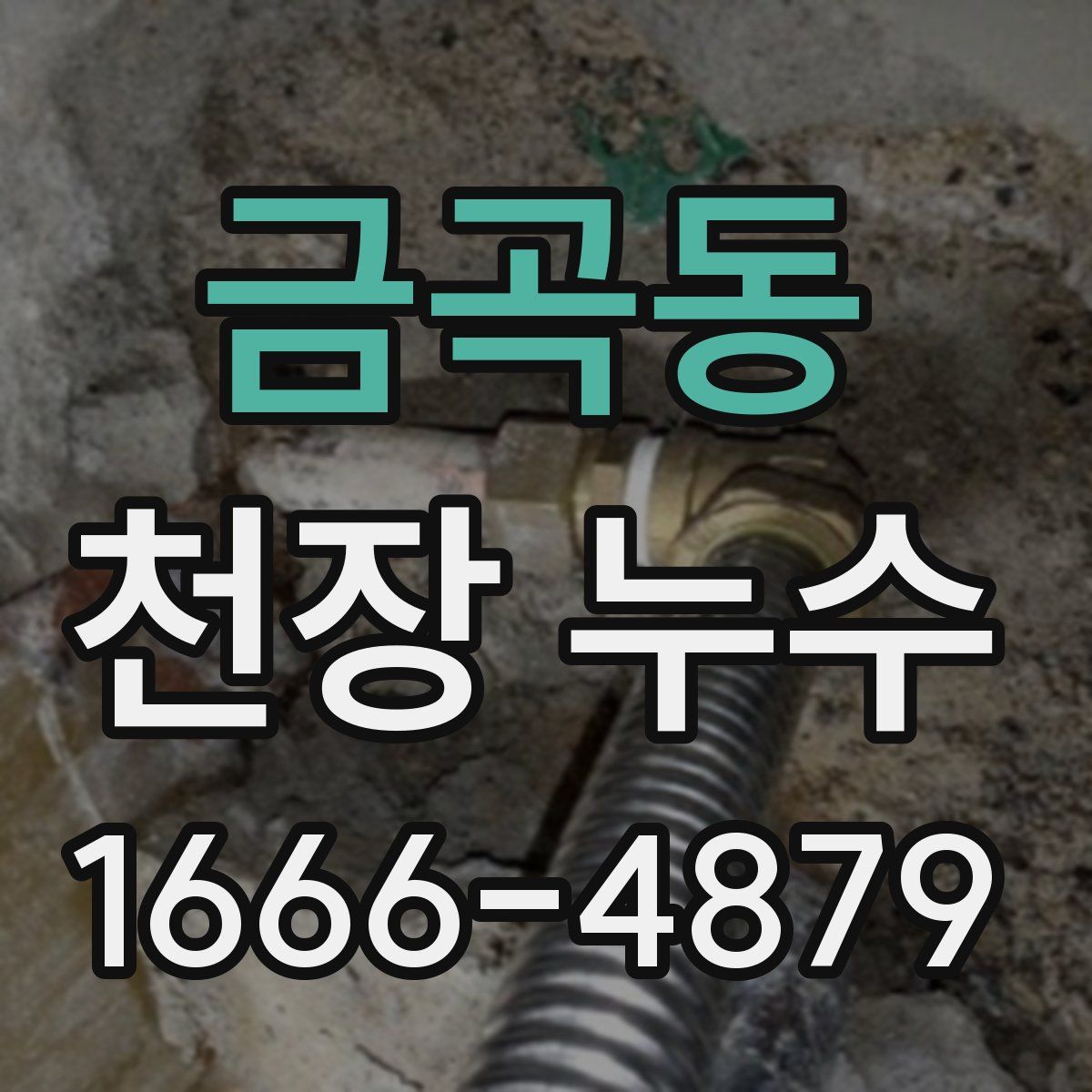 금곡동 천장 누수
