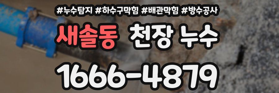 새솔동 천장 누수