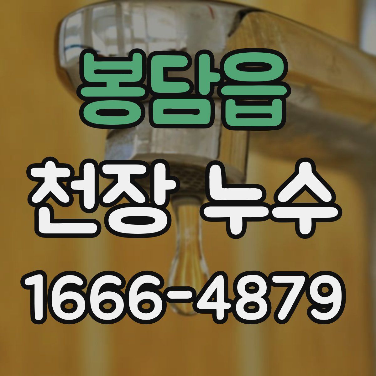 봉담읍 천장 누수