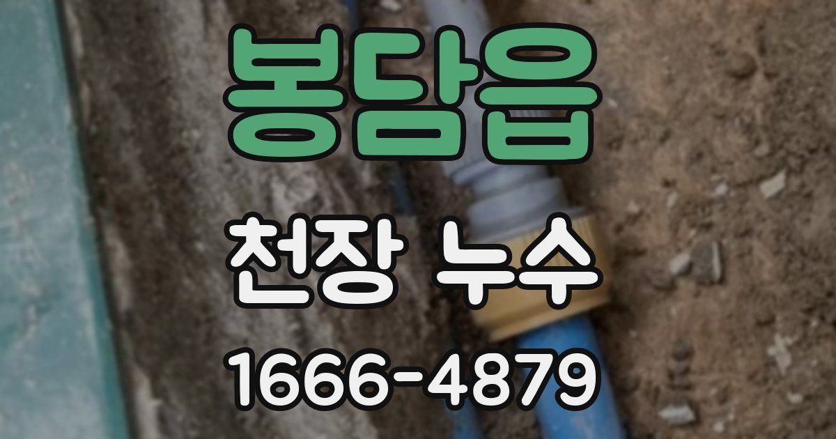 봉담읍 천장 누수