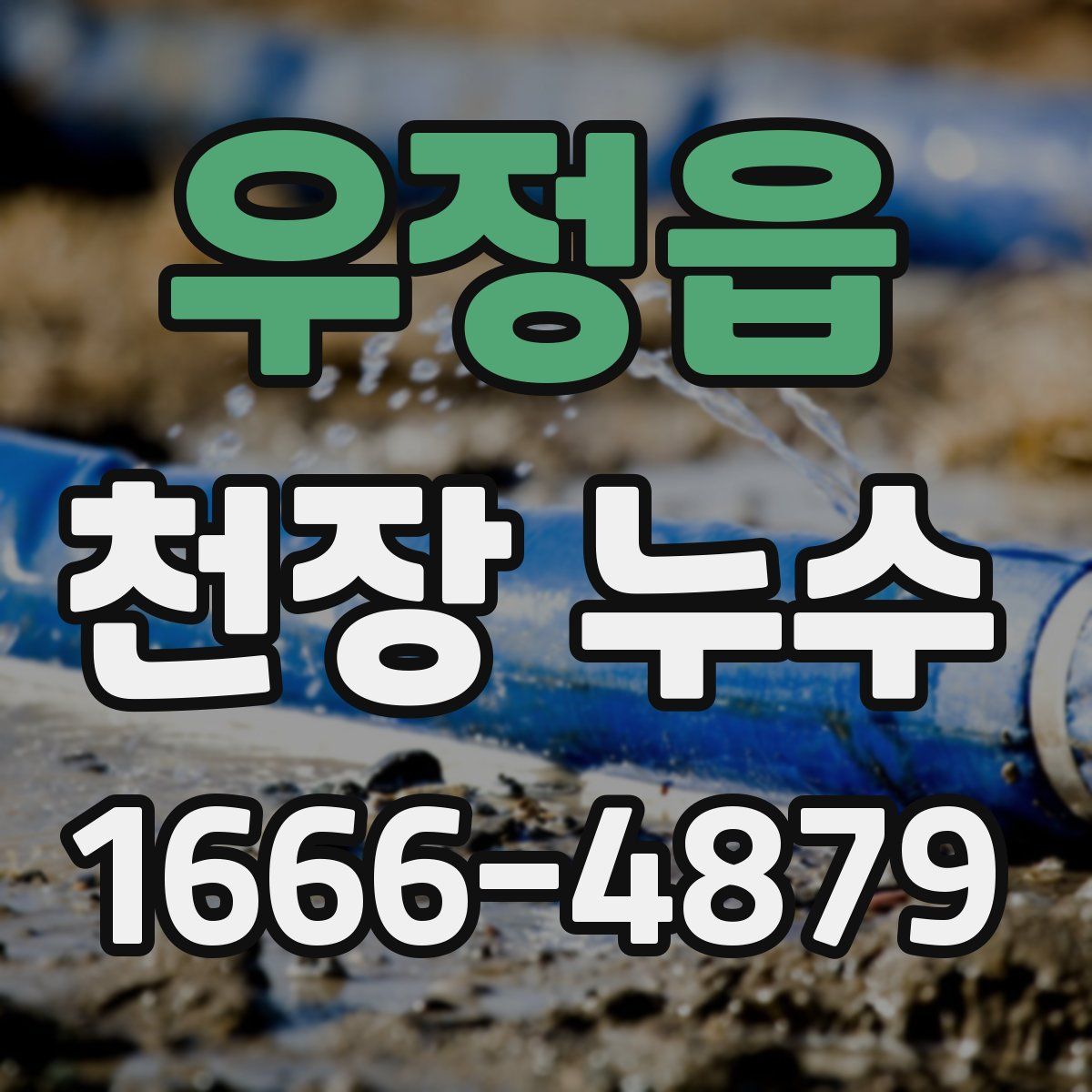 우정읍 천장 누수
