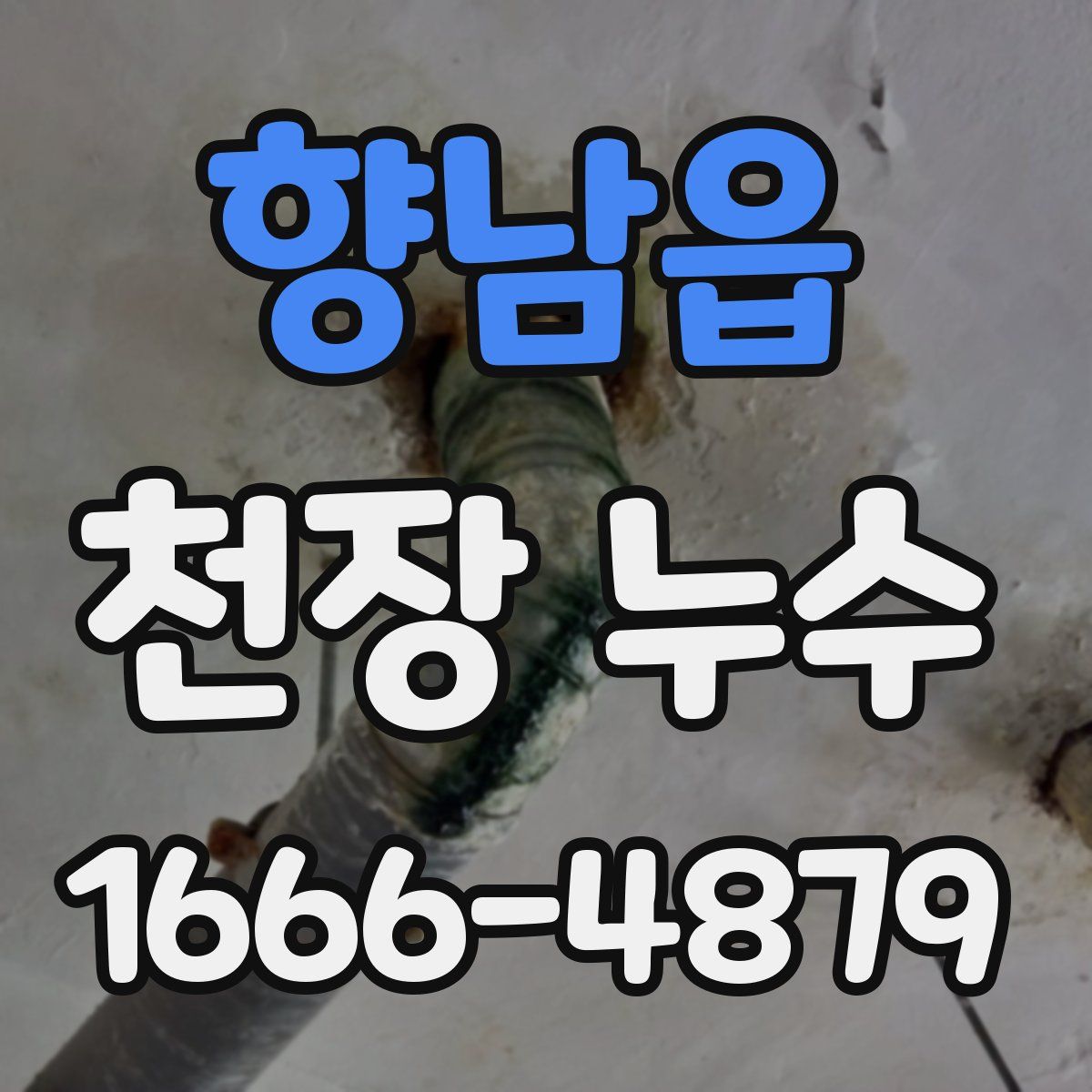 향남읍 천장 누수