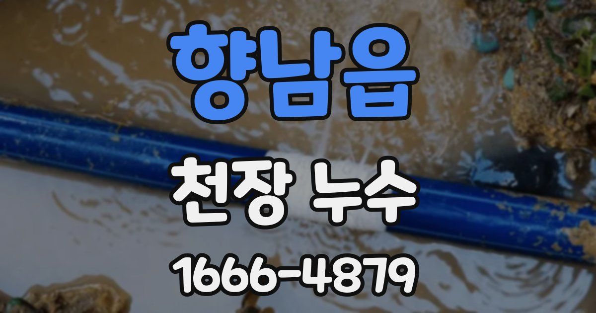향남읍 천장 누수