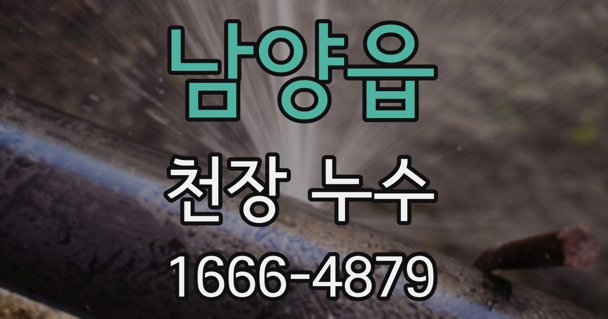 남양읍 천장 누수