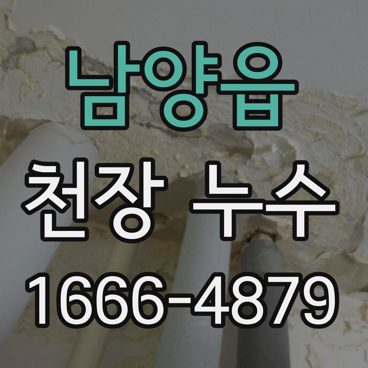 남양읍 천장 누수