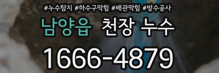 남양읍 천장 누수