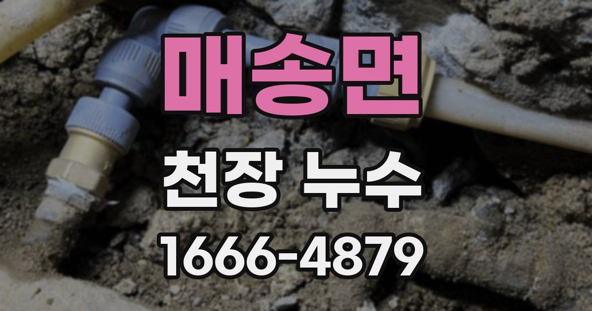 매송면 천장 누수