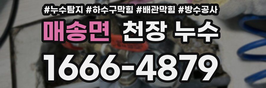 매송면 천장 누수