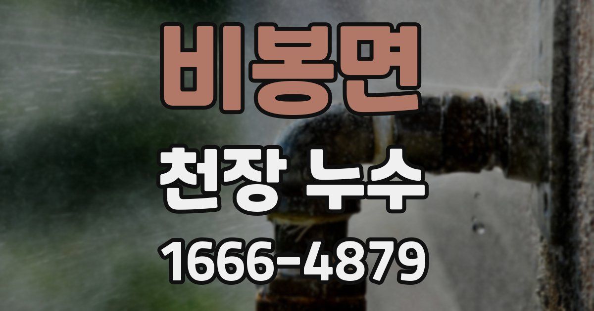 비봉면 천장 누수