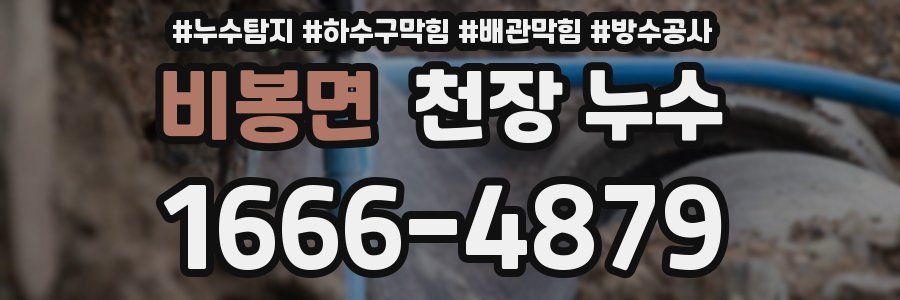 비봉면 천장 누수