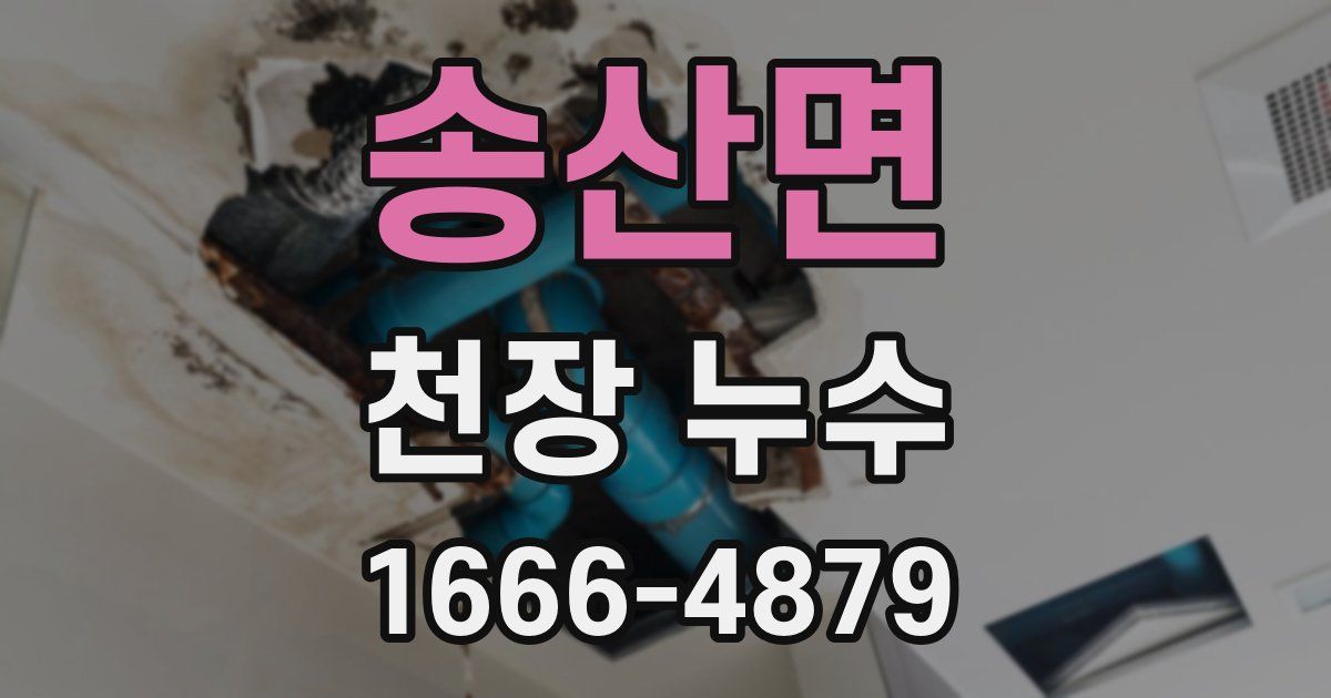 송산면 천장 누수