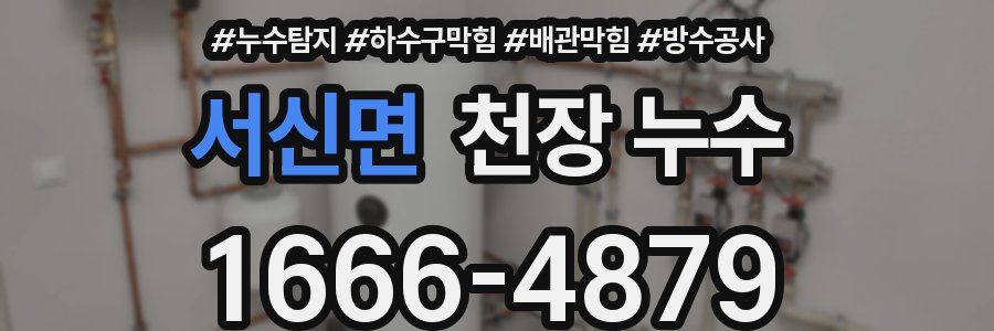 서신면 천장 누수