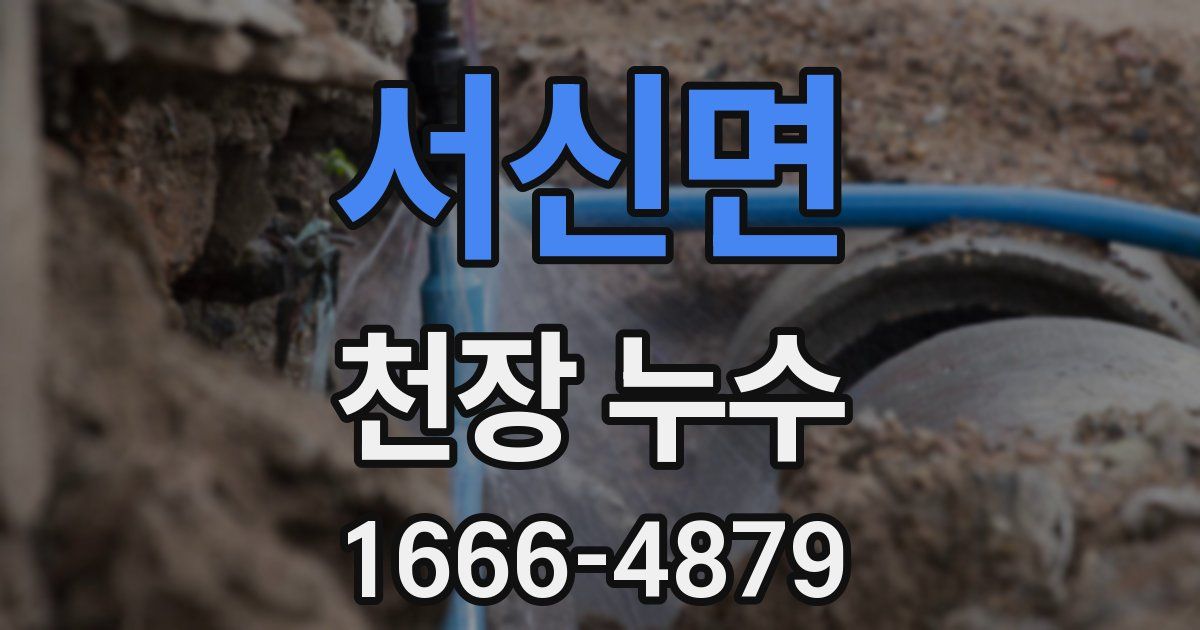 서신면 천장 누수