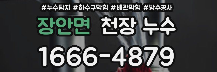 장안면 천장 누수