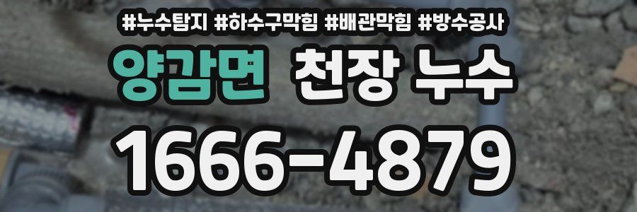 양감면 천장 누수