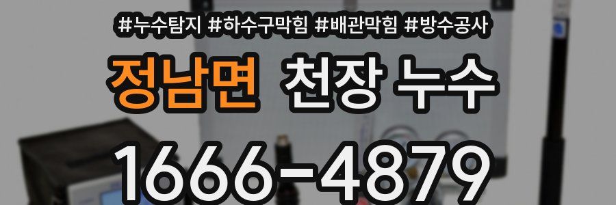 정남면 천장 누수