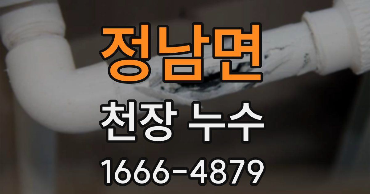 정남면 천장 누수