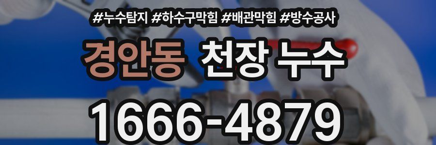 경안동 천장 누수