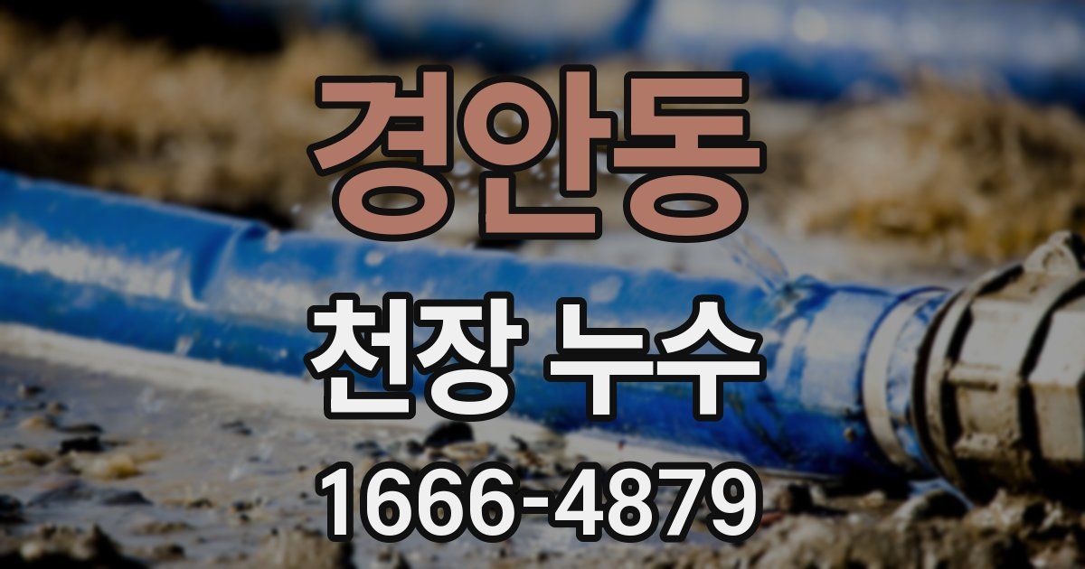 경안동 천장 누수