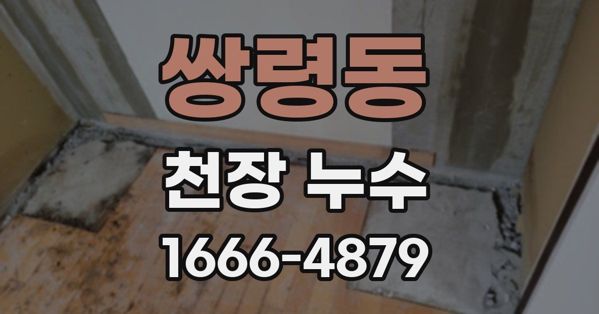 쌍령동 천장 누수