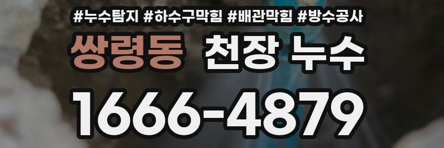 쌍령동 천장 누수