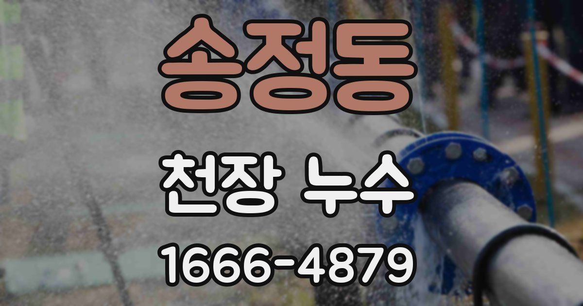 송정동 천장 누수