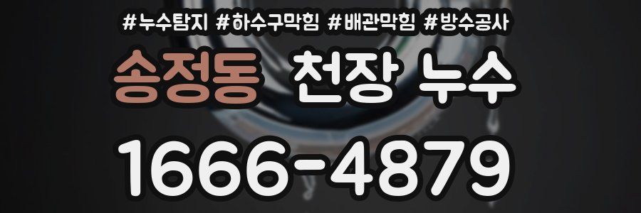 송정동 천장 누수