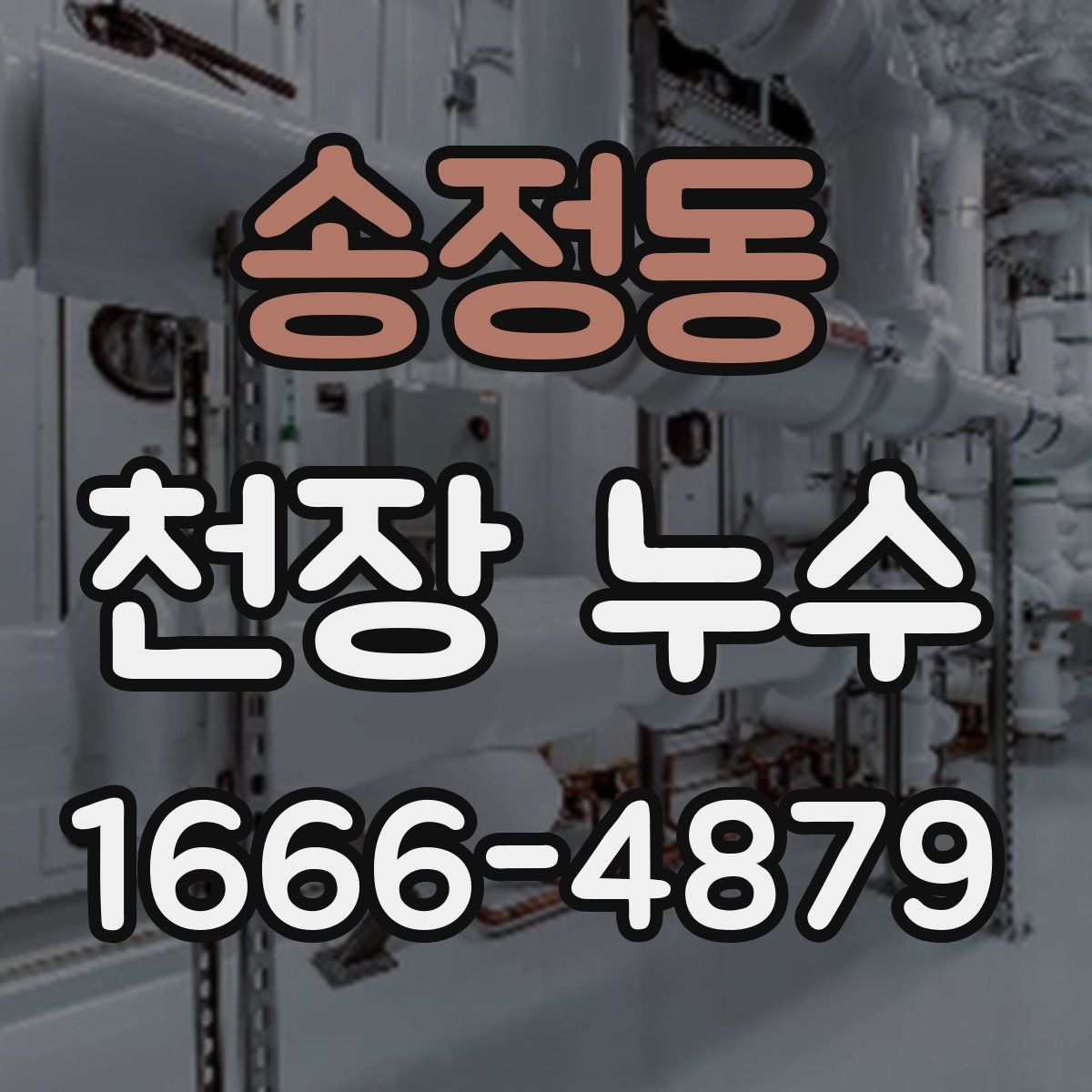 송정동 천장 누수