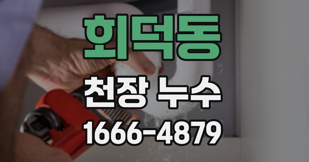 회덕동 천장 누수