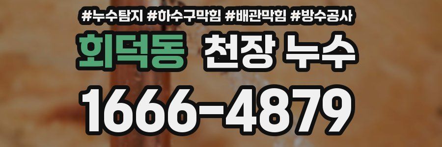 회덕동 천장 누수