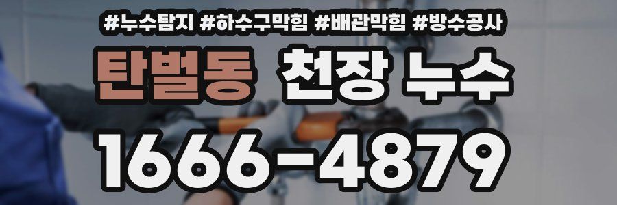 탄벌동 천장 누수